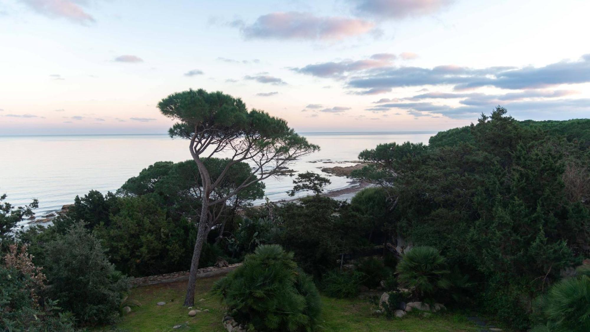 La Casa Sul Mare Daire Cala Liberotto Dış mekan fotoğraf
