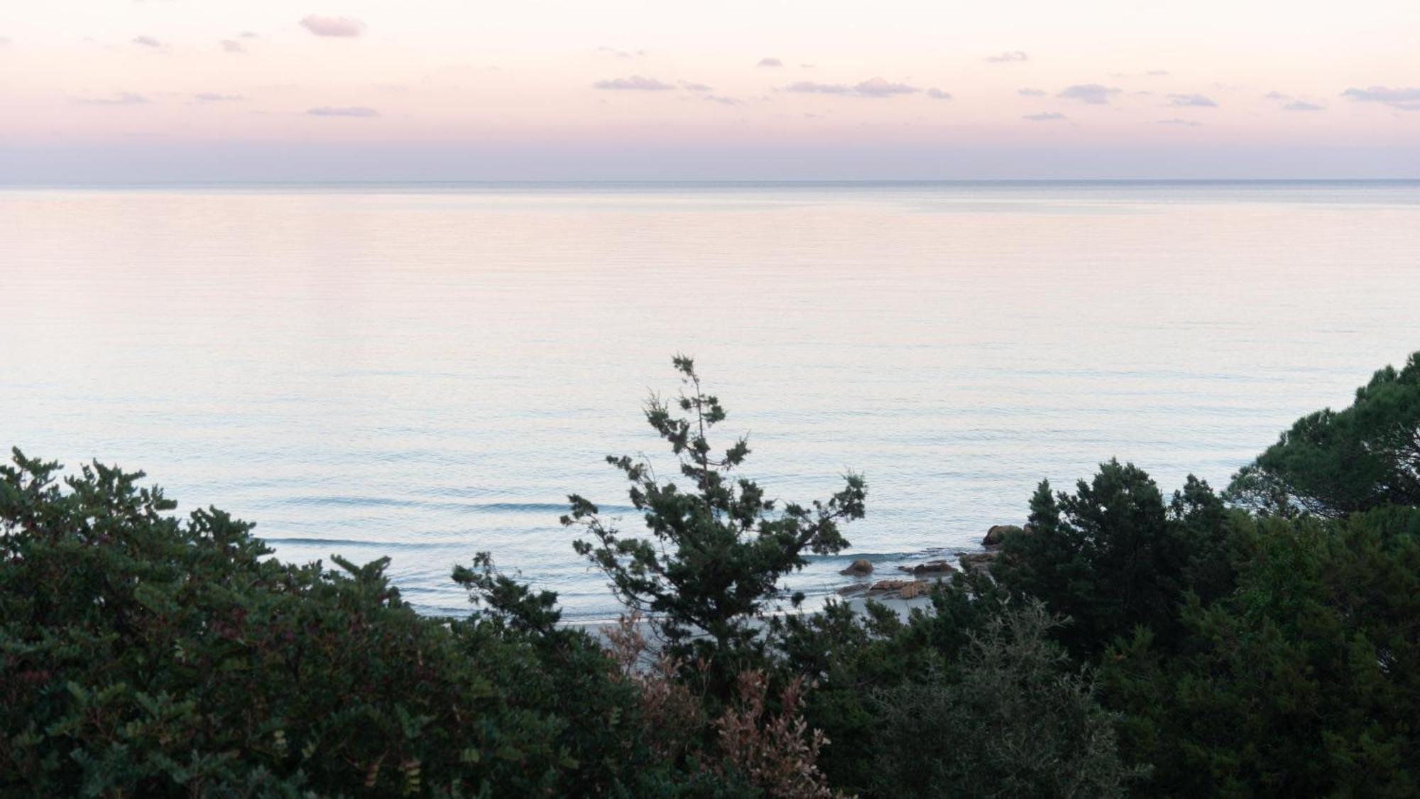 La Casa Sul Mare Daire Cala Liberotto Dış mekan fotoğraf