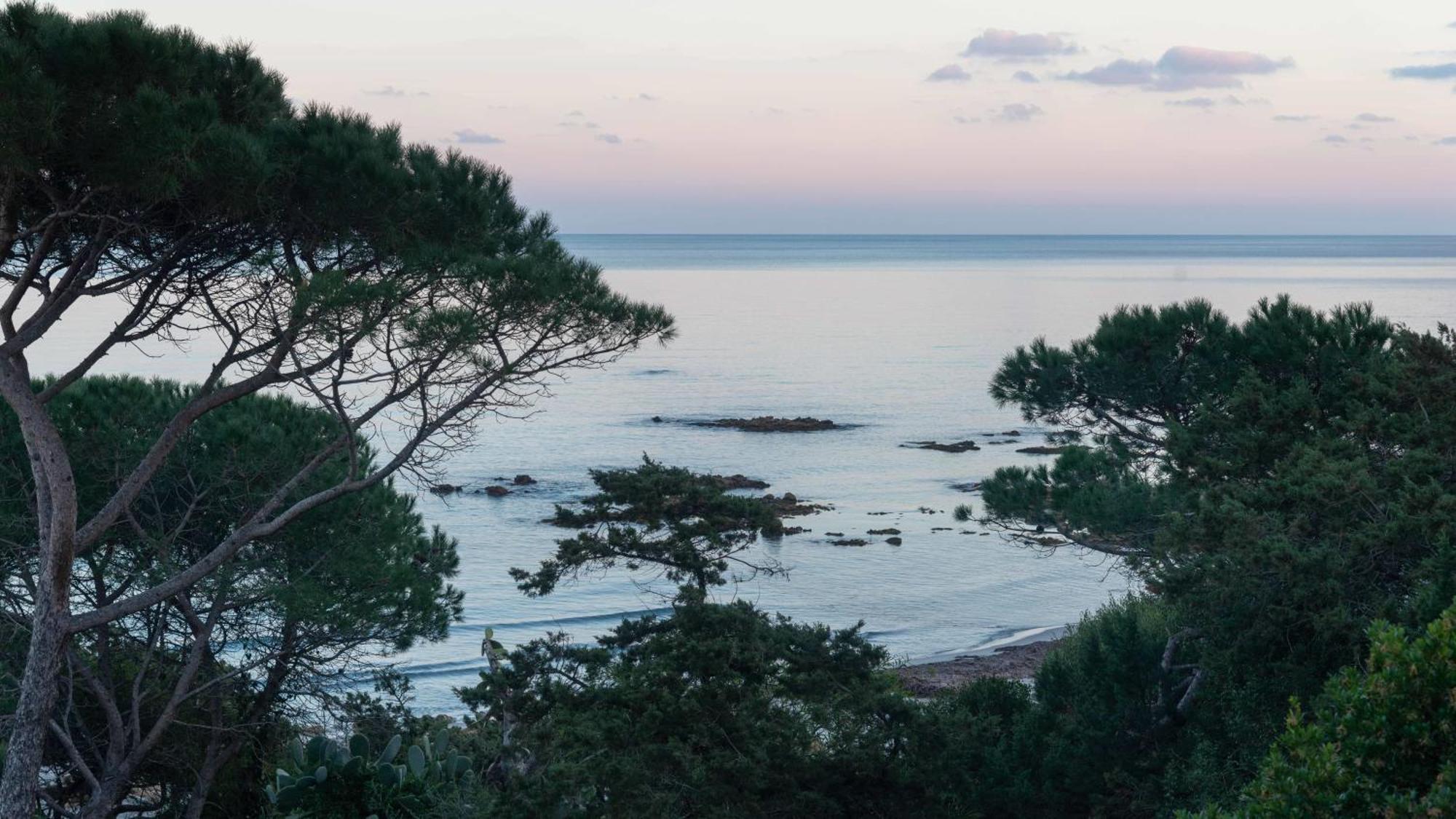 La Casa Sul Mare Daire Cala Liberotto Dış mekan fotoğraf